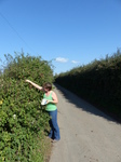 FZ008853 Jenni picking brambles.jpg